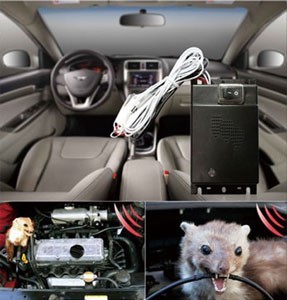 systeme anti rongeur