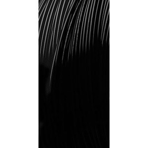 Raccord rapide tuyau d'eau